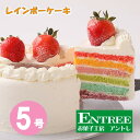 【ふるさと納税】レインボーケーキ5号サイズ