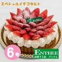 ケーキ人気ランク24位　口コミ数「2件」評価「5」「【ふるさと納税】スペシャルイチゴタルト6号サイズ」