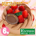 バースデーケーキ 【ふるさと納税】ストロベリーショコラ6号サイズ