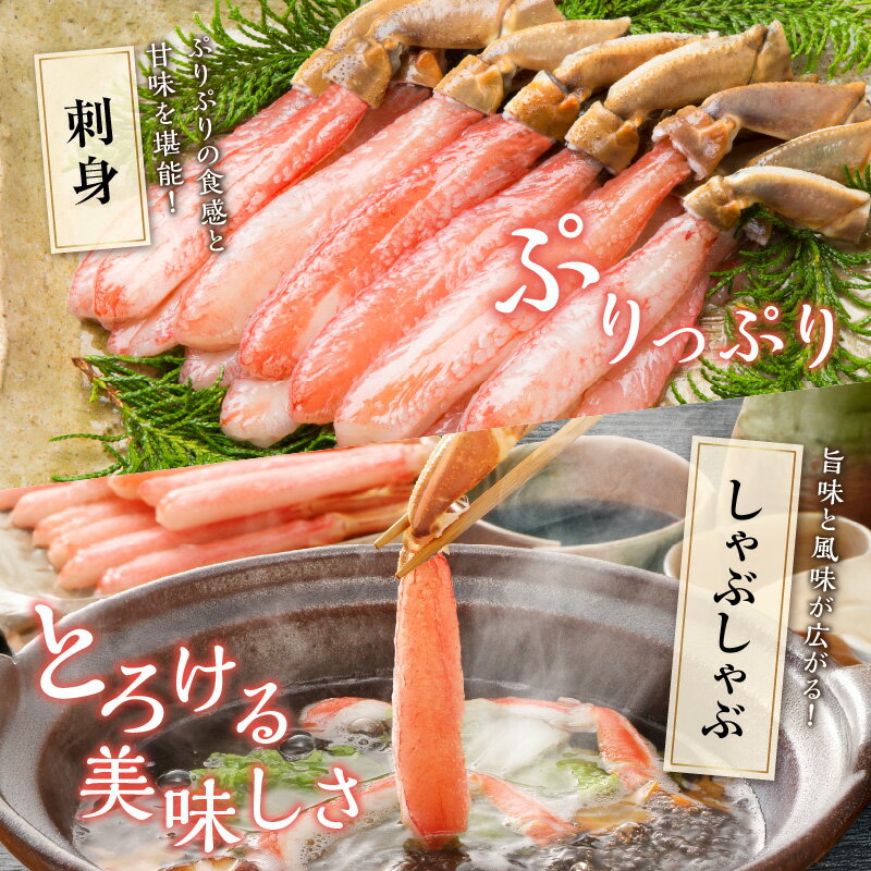 大阪府泉南市の画像3