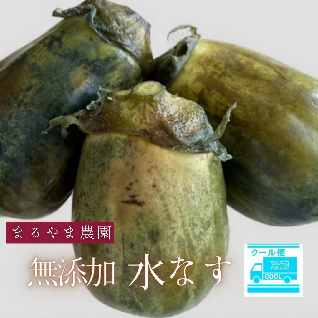 大阪府泉南市の画像3