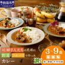 【ふるさと納税】選べる 内容量 種類!妊婦さんたちのために野菜とフルーツで作ったカレー チキン ビーフ ポーク 3食 6食 9食 【ギフト仕様】【自家用 化粧箱なし】