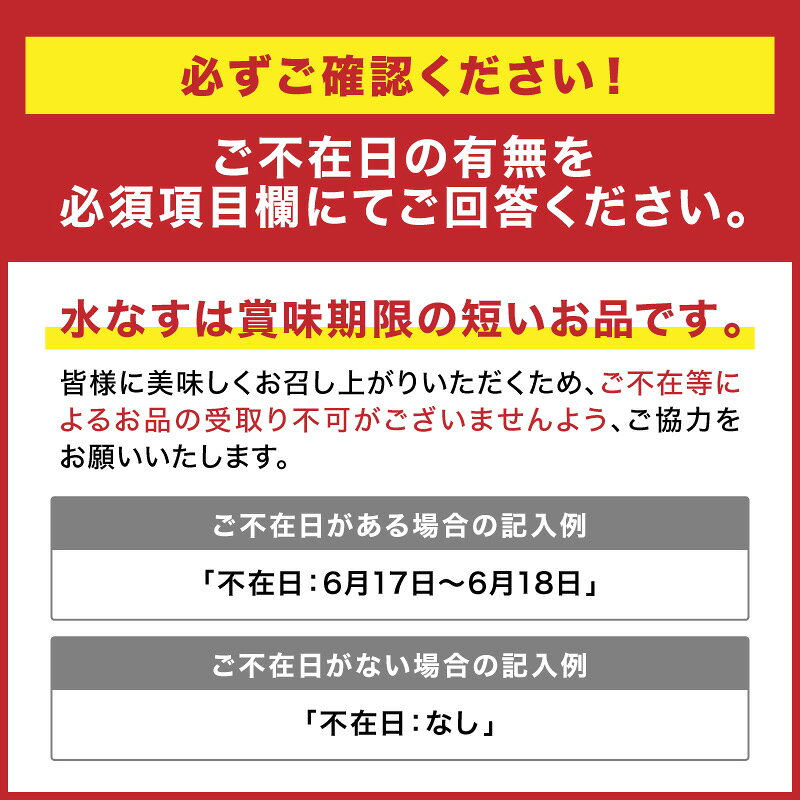 【ふるさと納税】選べる内容量！まるやま農園 泉州水なす ぬか漬け 通常用 贈答用 4個～8個入【ふるさと納税3.0】 ふるさと納税 なす 茄子 ぬか漬け 泉州 なす