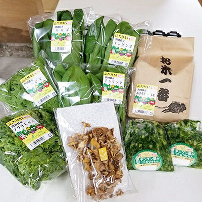 四條畷産・大阪産(おおさかもん)野菜4〜6品目とお米3kgの詰め合わせ【配送不可地域：離島・北海道・沖縄県】【1052609】