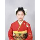 【ふるさと納税】【記念撮影】着付やヘアメイクセット・撮影で使える ご利用券10,000円分【1365380】