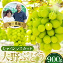 1位! 口コミ数「2件」評価「5」No.251 【10セット限定】池田農園の大野ぶどう(シャインマスカット)約900g / 高糖度 葡萄 ブドウ 果物 フルーツ 国産 送料無料 大阪府