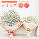 【ふるさと納税】【指定日必須】かすみ草 花束 <選べる>Sサイズ or Lサイズ| 花 花束 生花 カスミソウ フラワーフラワーギフト お祝い 母の日 入学祝い...