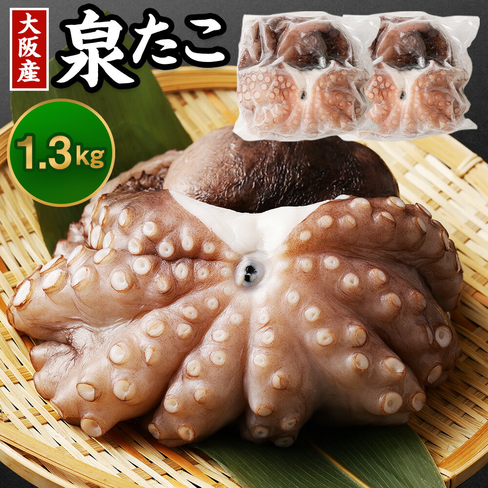 【ふるさと納税】大阪産 泉タコ 生たこ 1.3kg タコ 蛸 生ダコ たこ焼き 唐揚げ タコ刺し 刺し身 お取り寄せ ギフト 贈答用 プレゼント ..