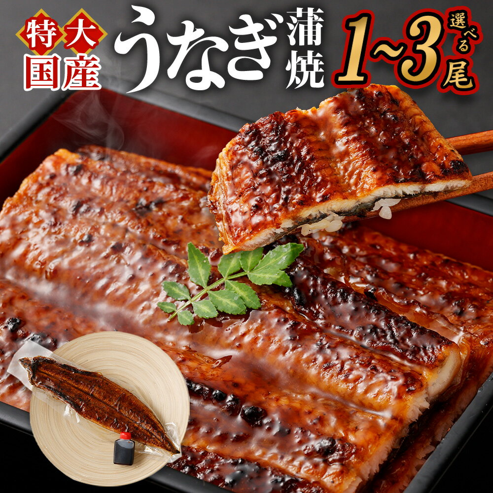 【ふるさと納税】国産 うなぎ蒲焼と 特製タレ セット＜選べる 内容量 / 配送月 ＞...
