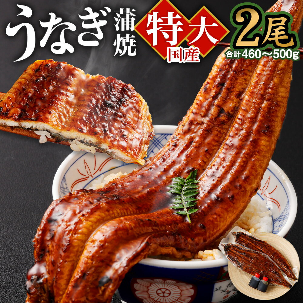 【ふるさと納税】国産「特大うなぎ蒲焼」2尾 460〜500g 特製タレ2個セット うなぎ ...