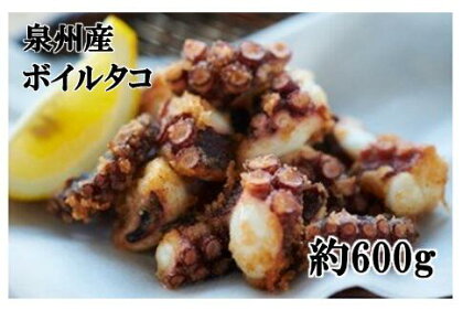 大阪産 泉タコ ボイルたこ 600g タコ 蛸 ボイル済 たこ焼き 唐揚げ タコ刺し 刺し身 たこ飯 お取り寄せ ギフト 贈答用 プレゼント 送料無料【2024年7月上旬より順次発送】