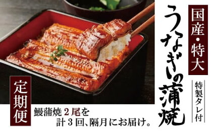 【隔月3回定期便】国産 特大 うなぎ 蒲焼 2尾（460〜500g）と特製タレ2個セット うなぎ 鰻 ウナギ 人気 国産 蒲焼 蒲焼き unagi 土用の丑の日 グルメ タレ付き ひつまぶし 高級 冷凍 2尾 特大 ギフト 贈り物 贈答用 プレゼント 送料無料