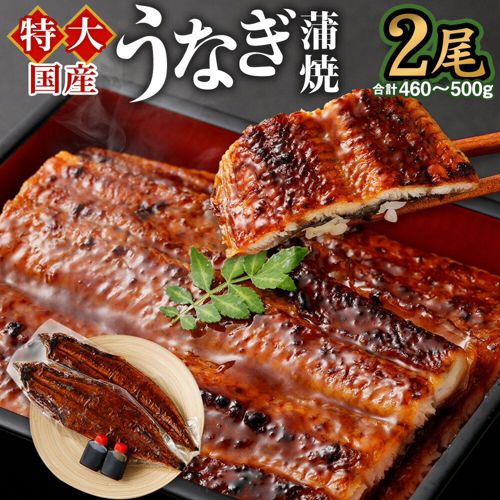 yӂ邳Ɣ[ŁzYu傤Ȃāv2 460`500g ^2Zbg Ȃ V EiM lC Y  Ă unagi yp̉N̓ O ^t Ђ܂Ԃ  Ⓚ 2  Mtg 蕨 p v[g 