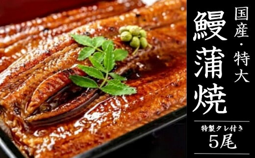 【ふるさと納税】国産「特大うなぎ蒲焼」5尾 1.15〜1.25kg 特製タレ5個セット うなぎ 鰻 ウナギ 人気 ...