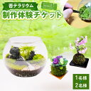 【ふるさと納税】<選べるご利用人数> 苔テラリウムの制作体験チケット 1名様 / ペアチケット( 2名様 ) 苔玉 ワークショップ 苔 コケ 植物 和風 インテ...