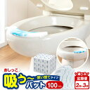 【ふるさと納税】<選べる隔月定期便> おしっこ吸う〜パット 計200個 / 計300個 1回あたり100個入 リーフ箱 2ヶ月毎 2回 / 3回 使い捨てタイプ...