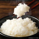 【ふるさと納税】〈令和7年産〉【はたなかさんち】泉州産ヒノヒカリ 5kg×1袋 お米 米 こめ ひのひかり 白米 精米 単一原料米 ごはん ご飯 ふるさと納税米 令和7年産米 国産 大阪府 阪南市 送料無料 【2025年11月上旬~12月下旬発送予定】