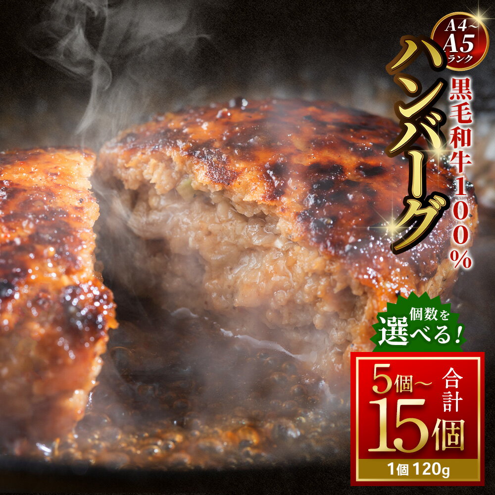 ハンバーグ 計600g(5個) / 計1.2kg(10個) / 計1.8kg(15個)[選べる内容量][A4〜A5ランクの黒毛和牛100%] 1個あたり120g 黒毛和牛 牛肉 お肉 赤身 食べきりサイズ 個包装 お弁当 ギフト 贈答 国産 冷凍 大阪府 阪南市 送料無料