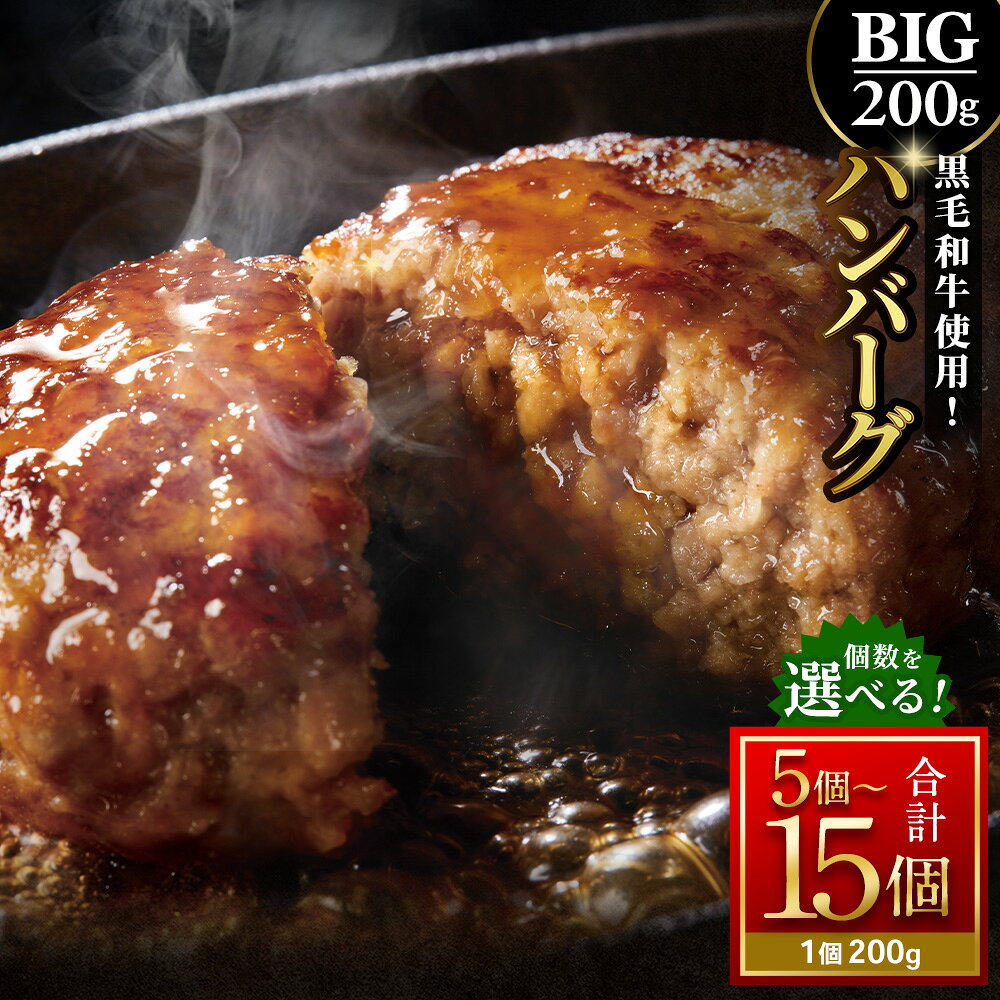 200gのBIG手作りハンバーグ 黒毛和牛使用! [選べる内容量]計1kg(5個) / 計2kg(10個) / 計3kg(15個) 黒毛和牛 牛肉 豚肉 お肉 粗挽き 下味済み 超満足サイズ 個包装 ギフト 贈答 国産 冷凍 大阪府 阪南市 送料無料