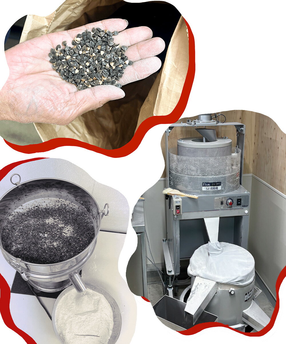 【ふるさと納税】【選べる容量】 泉州蕎麦 阪南地産 十割蕎麦（春のいぶき） つゆ付き 2人前 ( 計200g ) / 4人前 ( 計400g ) そば 蕎麦 麺 新蕎麦 十割そば 泉州そば 1袋あたり100g 年越し蕎麦 つゆ 冷蔵 阪南市産 大阪府 阪南市 送料無料 【2025年12月31日着】