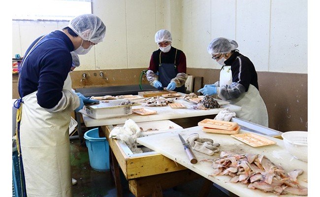 【ふるさと納税】阪南市尾崎水揚げ！絶品鰆のみそ漬け_0A15