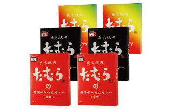 【ふるさと納税】大阪府産 地産地消 米 10kgと 炭火焼肉たむら のお肉が入った カレー 6個最強セット_9304