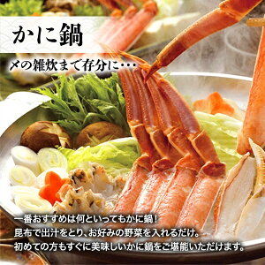 【ふるさと納税】【18】生ずわい蟹 お鍋 セット 1.0kg_NA81