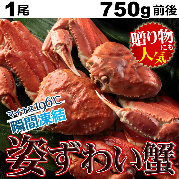 【ふるさと納税】特大ボイル ズワイ 蟹 姿 1.5kg 2尾_NK14