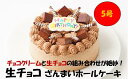 【ふるさと納税】生チョコ ざんまい ホールケーキ 5号 直径15cm チョコ チョコレート ケーキ クリーム スイーツ デザート おやつ お菓子 パーティ 誕生...