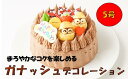 【ふるさと納税】ガナッシュ デコレーション ケーキ 5号 直径15cm チョコレート チョコ ホールケーキ スイーツ デザート おやつ お菓子 パーティ 誕生日...