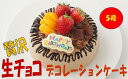 【ふるさと納税】贅沢 生チョコ デコレーション ケーキ 5号 直径15cm チョコレート チョコ フルーツケーキ スイーツ デザート おやつ お菓子 パーティ ...