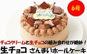 【ふるさと納税】生チョコ ざんまい ホールケーキ 6号 直径18cm ケーキ 洋菓子 お菓子 スイーツ クリスマス かわいい おしゃれ 美味しい 冷凍 チョコレ...