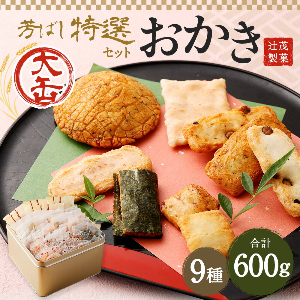 【ふるさと納税】芳ばし 特選セット 大缶 おかき 9種 600g 辻茂製菓 大阪府 阪南市 送料無料