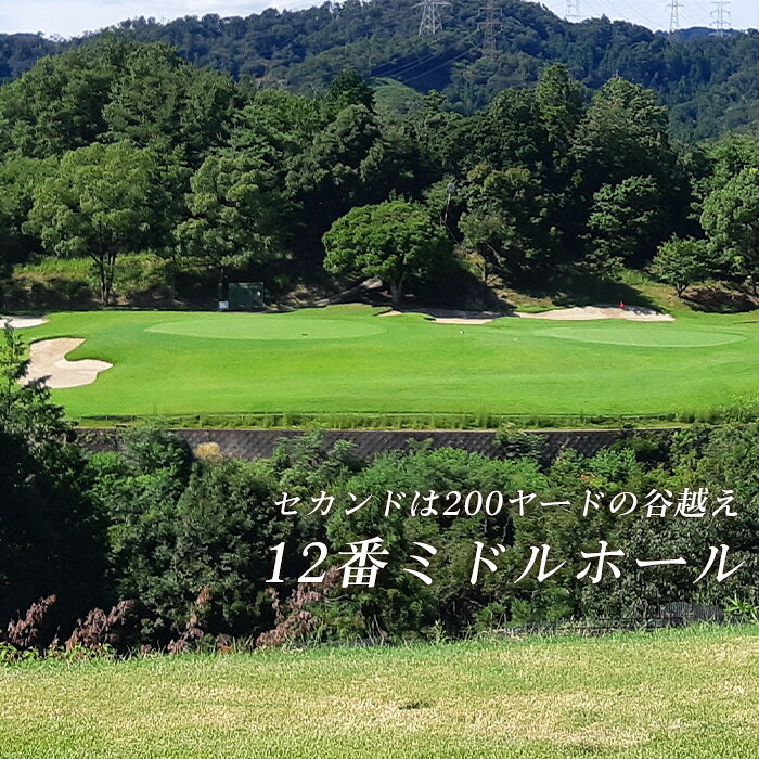 【ふるさと納税】 新大阪ゴルフクラブ土日祝日特別優待プレー券（1名様×1枚） ／ ゴルフ ゴルフコース プレー券 ゴルフ場 ゴルフ場利用券 優待券 土日祝 休日 週末 ゴルフ券 1名 チケット 券 スポーツ 運動 レジャー アウトドア 体験 絶景 遊び 初心者 ゴルフ好き No.014 f273015-shimamoto-10000049 大阪府島本町 サンプル画像3