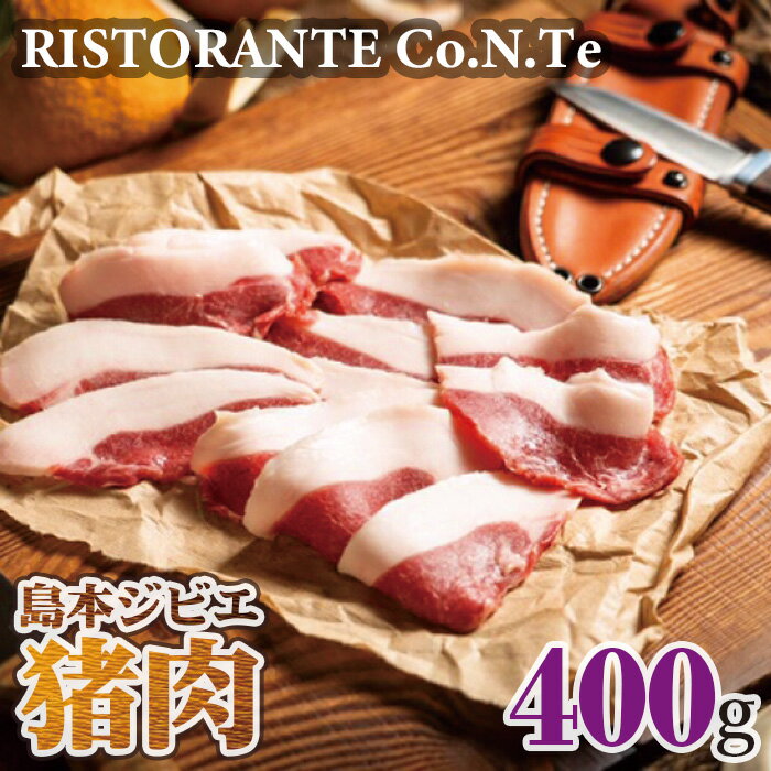 島本ジビエ「猪肉」約400g / 狩猟肉 イノシシ肉 スライス 送料無料 大阪府 特産品