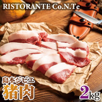 No.041 島本ジビエ「猪肉」約2kg ／ 狩猟肉 イノシシ肉 送料無料 大阪府 特産品