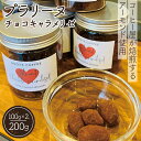 【ふるさと納税】No.136 プラリーヌ チョコキャラメリゼ / 菓子 チョコレート アーモンド 甘い 純ココアパウダー 送料無料 大阪府 特産品(4)