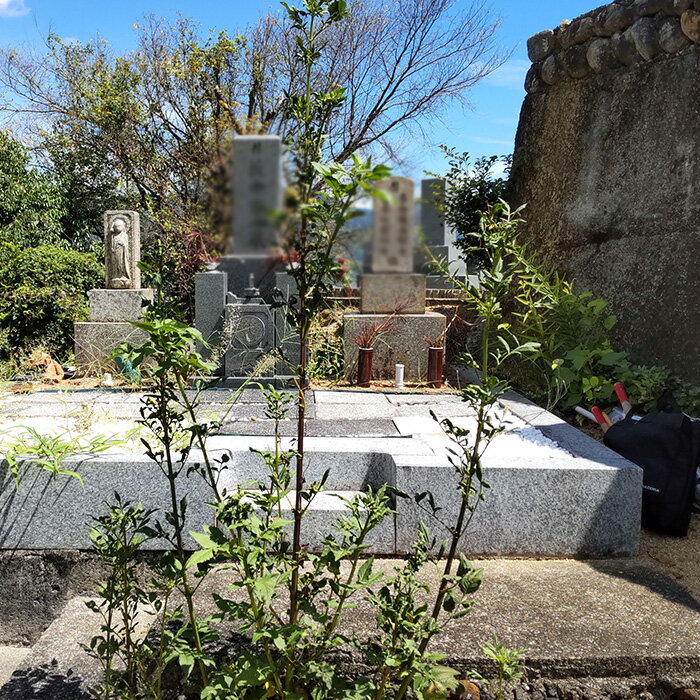 【ふるさと納税】 お墓清掃サポート業務 ／ チケット お墓管理 屋外確認 墓石清掃 区画内草引き 代行業務 送料無料 大阪府 No.141