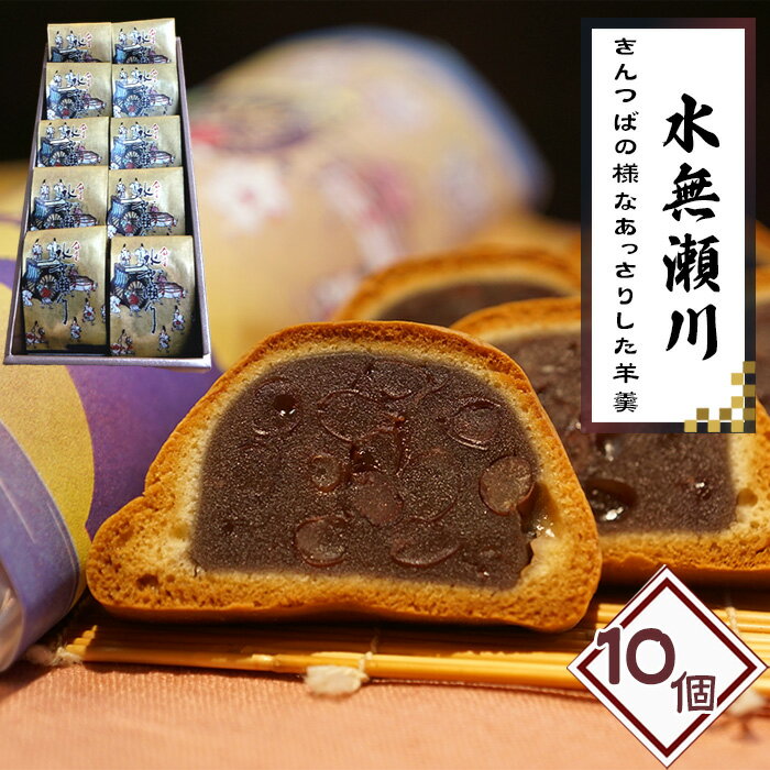 【ふるさと納税】No.181 水無瀬川　10コ ／ 菓子 和菓子 ようかん ヨウカン 羊羹 きんつば 焼菓子 こだわり ご進物 ご贈答 ギフト お取り寄せ 送料無料 大阪府