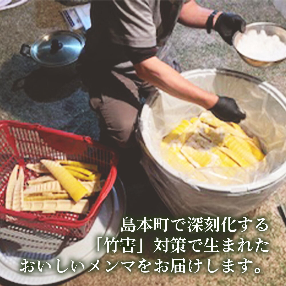 【ふるさと納税】純国産島本メンマ（ごま油香るピリ辛中華味）500g ／ めんま たけのこ 筍 おつまみ 惣菜 国産 幼竹 ピリ辛 シャキシャキ ご飯のお供 お取り寄せ グルメ ご当地 名物 特産 送料無料 大阪府 No.183