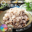 【ふるさと納税】【白米に混ぜて簡単!】国産 五穀米ブレンド3.0kg(300g×10袋入り)【1632620】