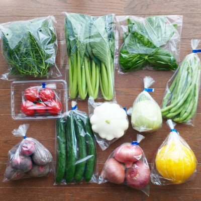【ふるさと納税】おまかせ野菜セット(2026年5月下旬～発送予定)【配送不可地域：離島】【1702373】