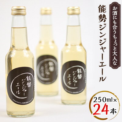 【ふるさと納税】お酒にも合うちょっと大人な「能勢ジンジャーエール」250ml×24本【1258638】