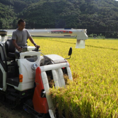 【ふるさと納税】[令和5年度産]高齢者の田んぼを受け継ぐ若手後継者「塚原さんのキヌヒカリ」玄米10kg【1261848】