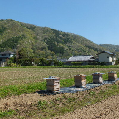 【ふるさと納税】【RAW HONEY】風味いろいろ!季節のはちみつ4種セット(50g×4本)-純粋・非加熱・国産-【1277353】