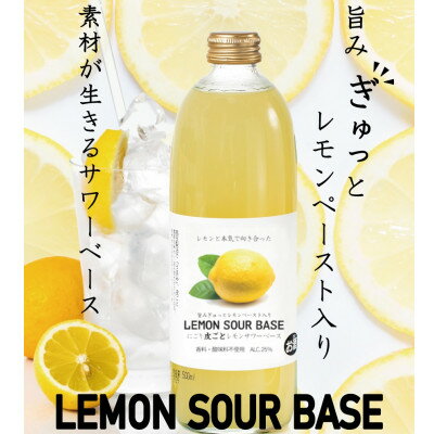 にごり皮ごとレモンサワーベース 〜あなただけのオリジナルサワーを〜 500ml×12本