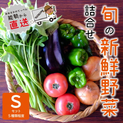 【ふるさと納税】『大阪能勢産』　農家直送!べじたぶるぱーくの旬の新鮮野菜詰合せ　Sセット(5種類)　【配送不可地域：離島】【1509066】