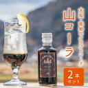 23位! 口コミ数「0件」評価「0」山コーラ　2本セット　〜YAMA COLA 大阪能勢のクラフトコーラシロップ〜【1288037】