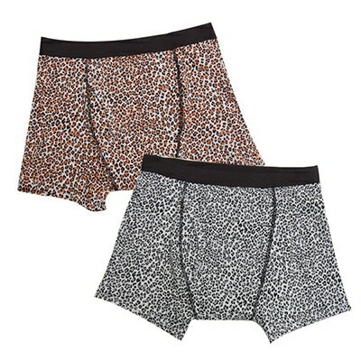 【ふるさと納税】俺のボクサーパンツ ヒョウ柄 2枚組(LLサイズ) 軽失禁用 失禁パンツ・尿漏れパンツ【1107639】