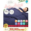 【ふるさと納税】【洗える】羽毛掛けふとんシングル日本製ダウン90%1.2kgネイビー抗菌防臭防ダニ【1124859】